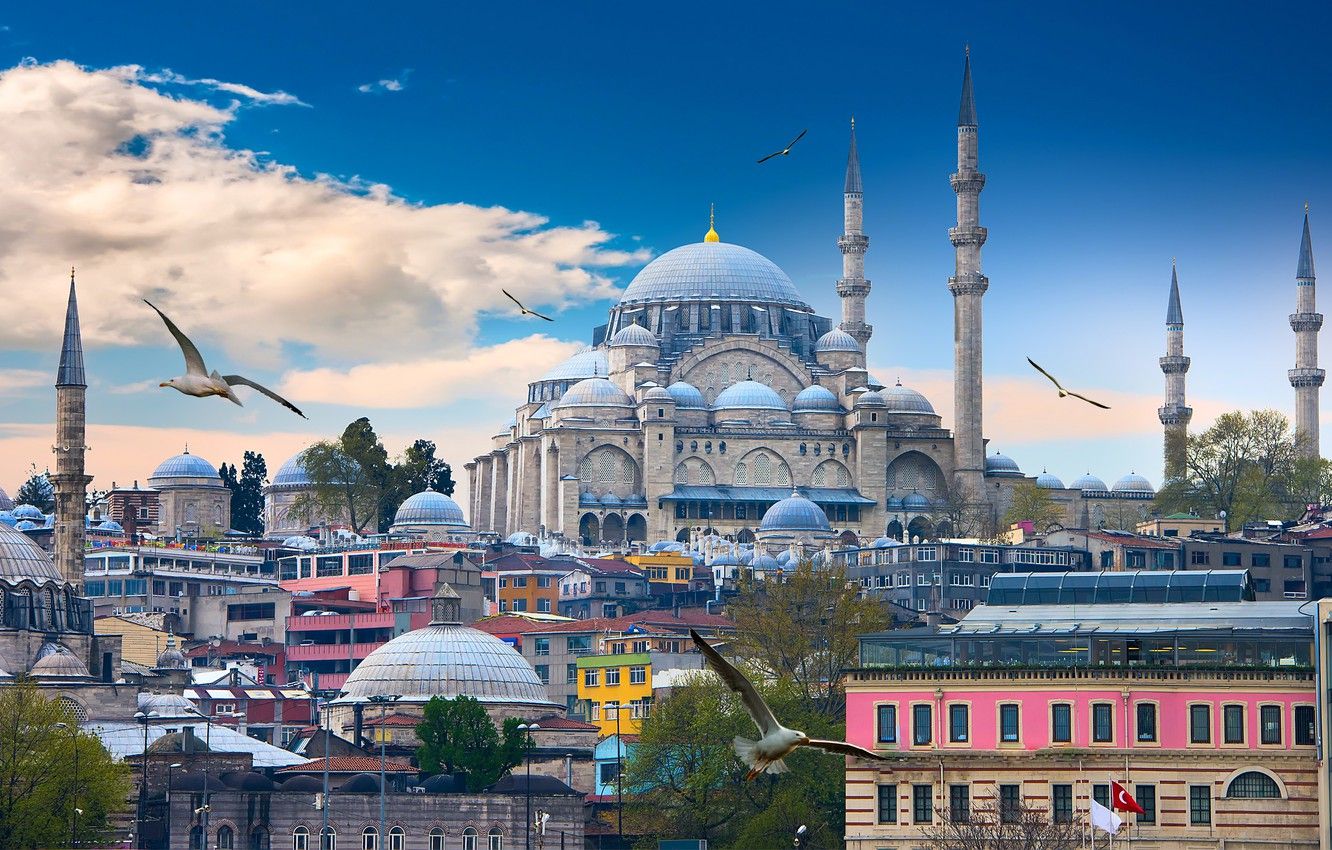 Wallpaper the sky, clouds, birds, seagulls, home, tower, temple, Istanbul, Turkey, The blue mosque image for desktop, section город