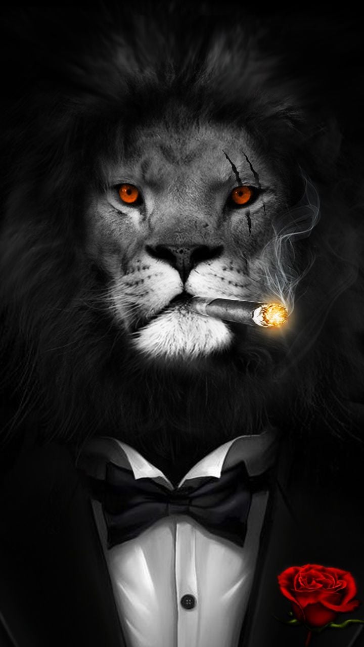 Big Boss! Courage, Bravery and Smart. #Lion #Wallpaper. Lion art, Lion painting, Lion picture