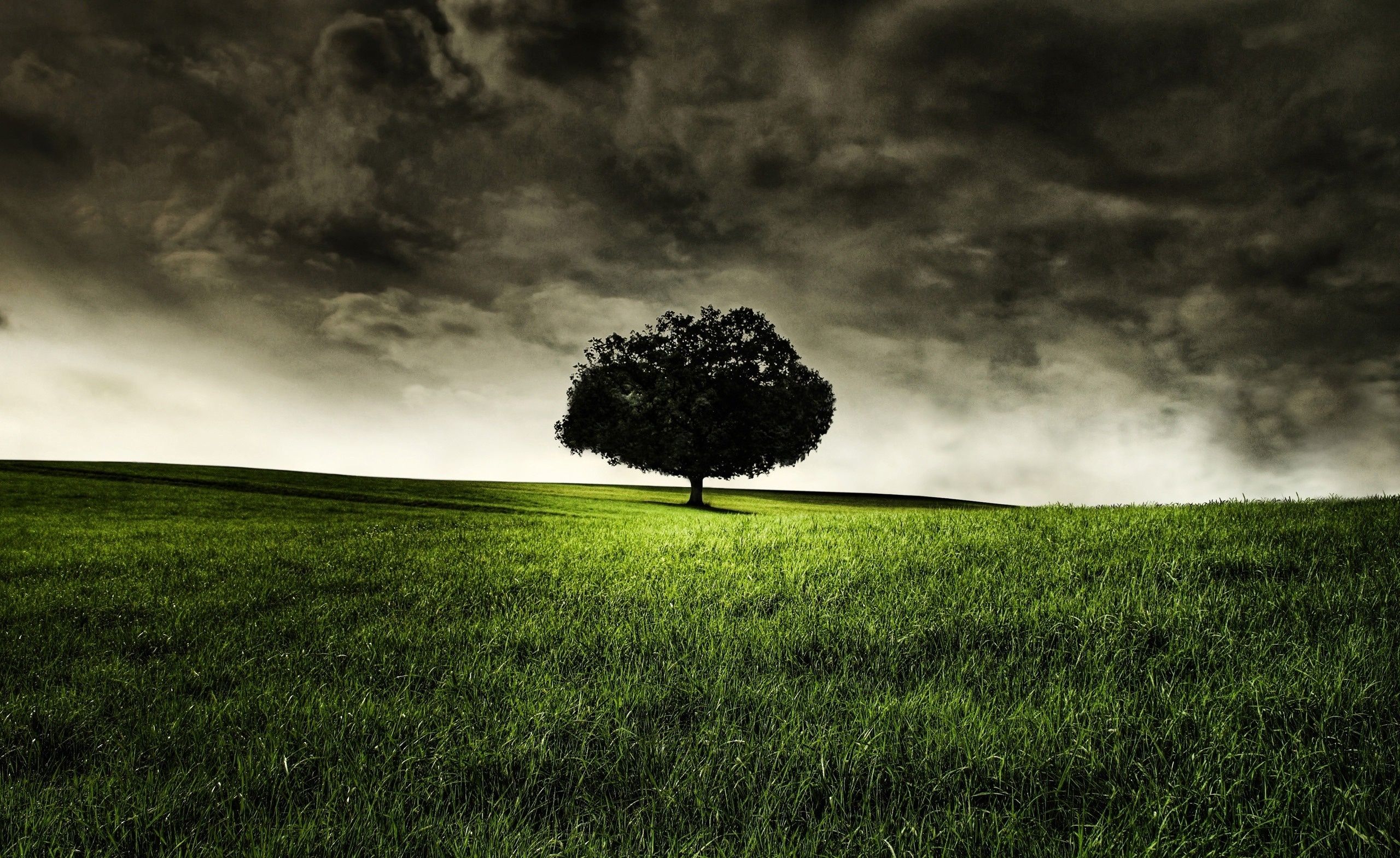 Wallpaper hill, field, tree, clouds, dark clouds, grass desktop
