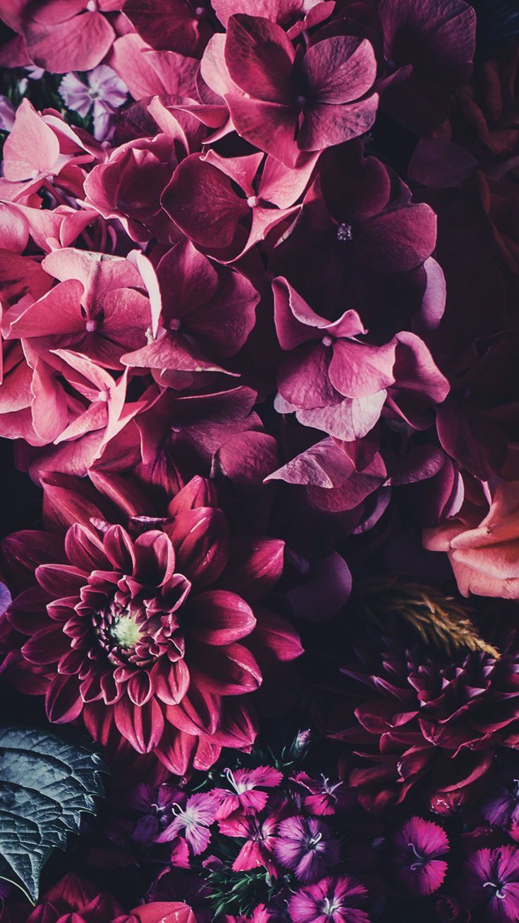 Floral iPhone Wallpaper To Celebrate 65k Followers. Preppy Wallpaper. Floral iphone background, Floral wallpaper iphone, Beautiful flowers wallpaper