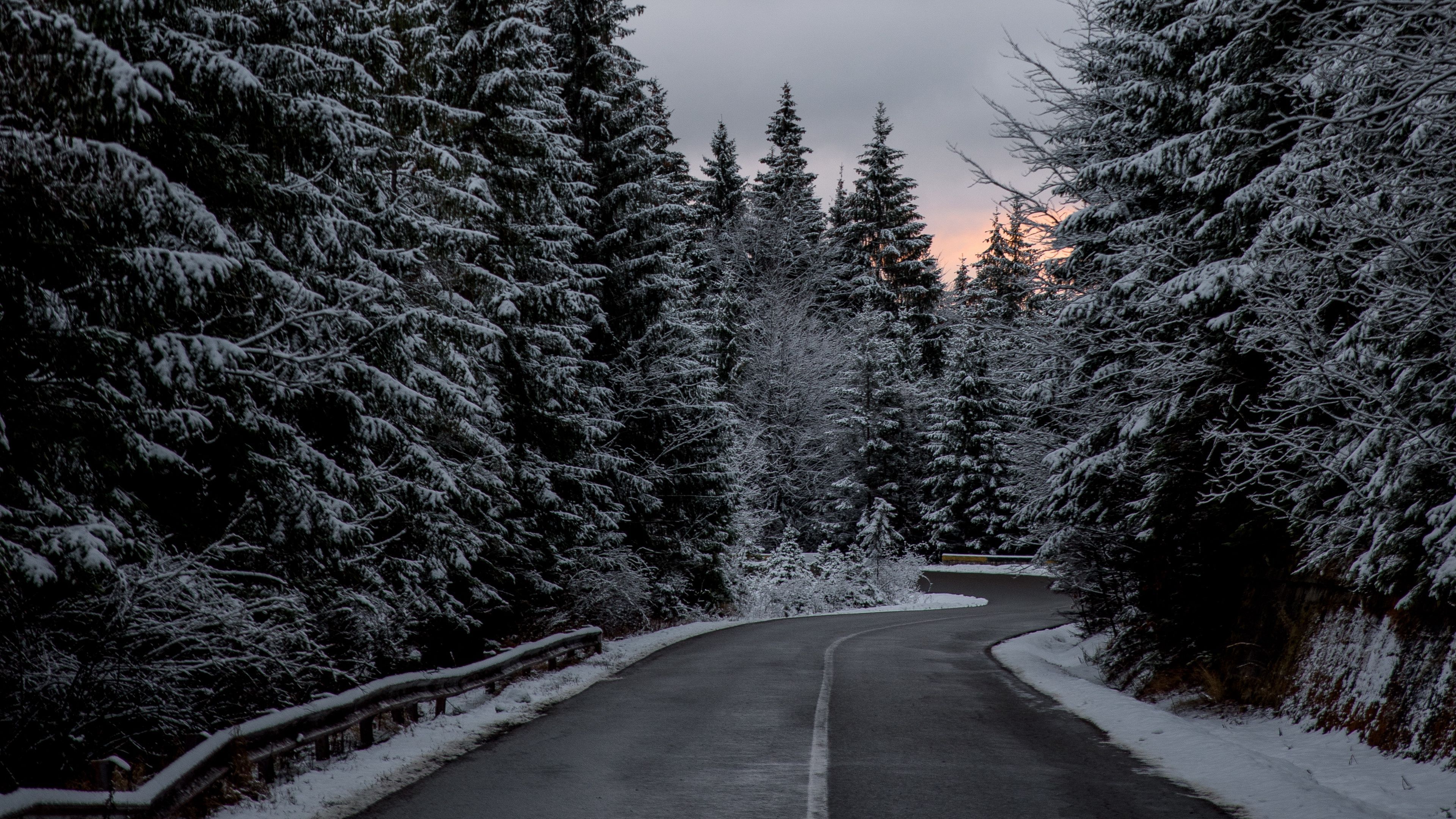 trees, road, winter, snow 4k Winter, Trees, Road. Nature wallpaper, Nature, Background