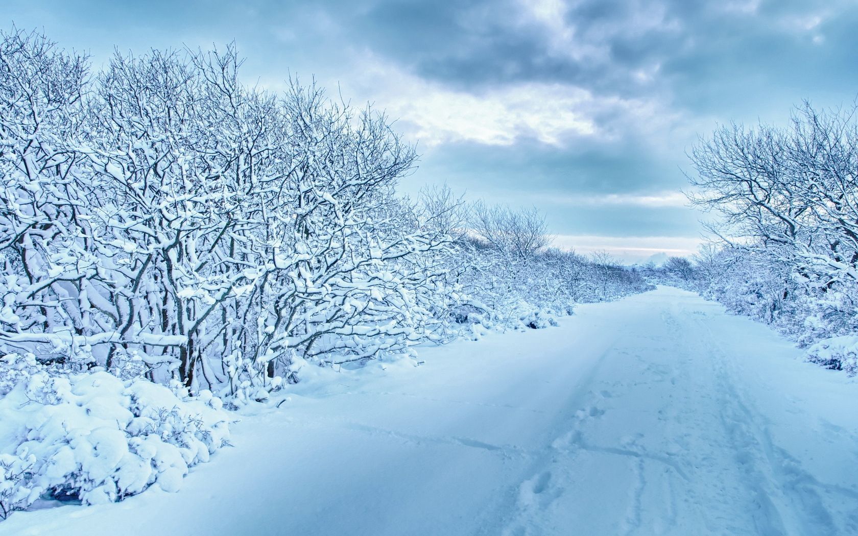 Download wallpaper 1680x1050 snow, trees, road, traces, winter