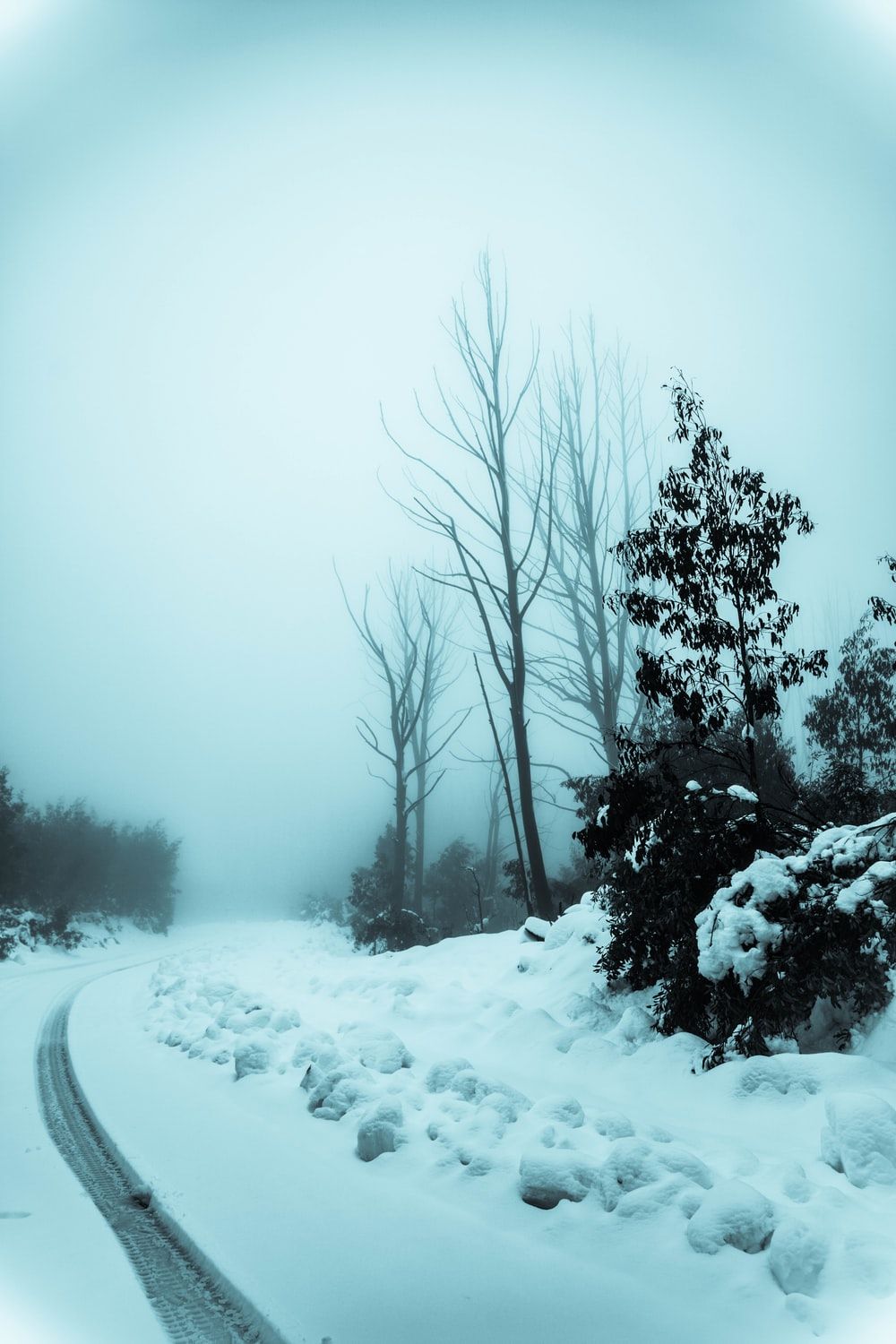 Snowy Road Picture. Download Free Image