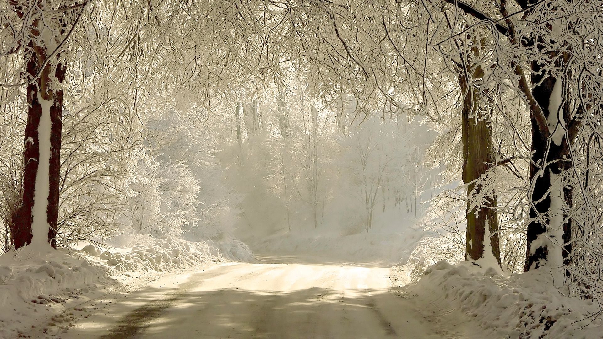 Download Wallpaper 1920x1080 road, snow, trees, hoarfrost, gray