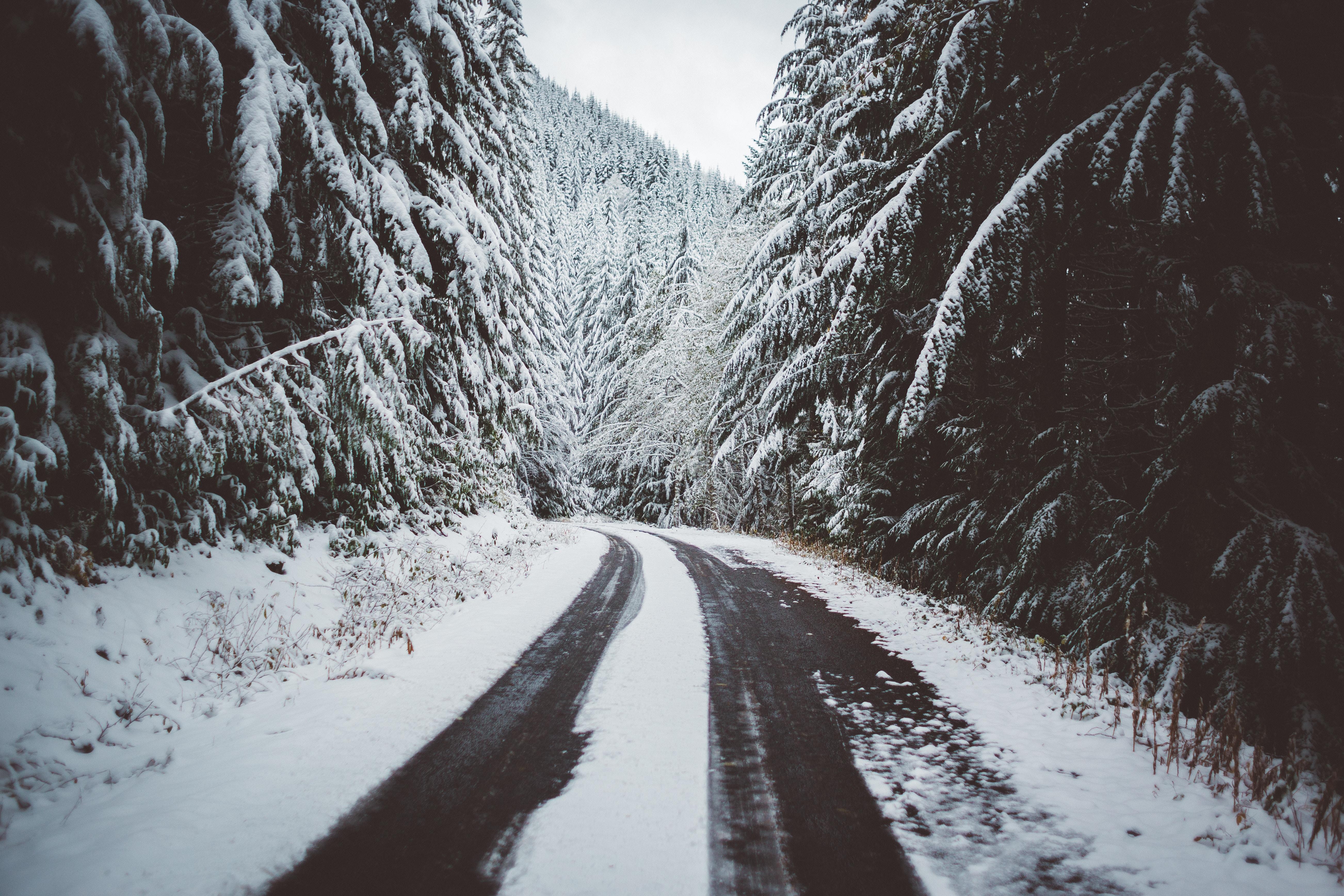 wallpaper road, snow, trees, winter HD, Widescreen, High
