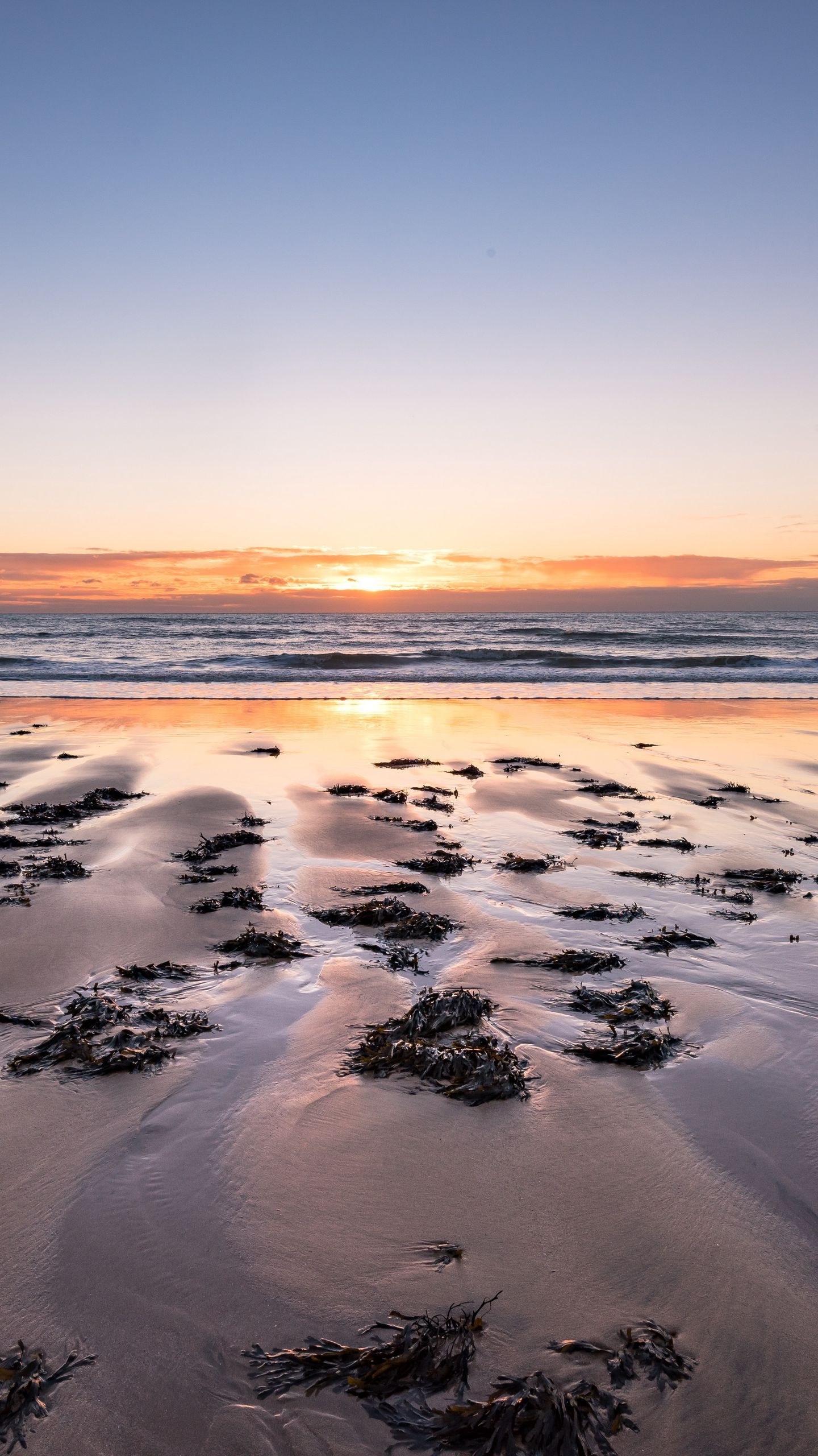 Download wallpaper 1440x2560 beach, sand, sea, sunset, horizon qhd