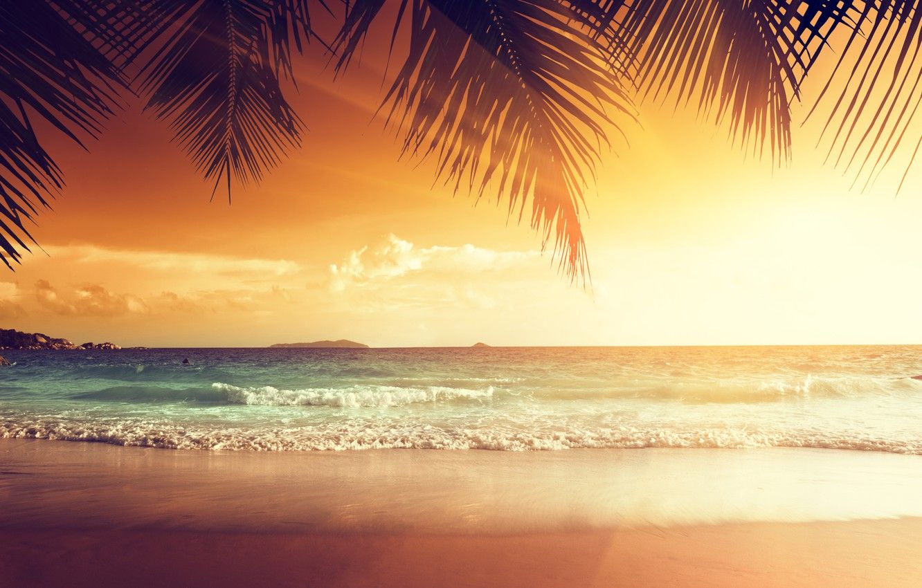 Wallpaper sand, sea, beach, sunset, tropics, palm trees, shore, summer, beach, sea, ocean, coast, sunset, sand, paradise, tropical image for desktop, section природа