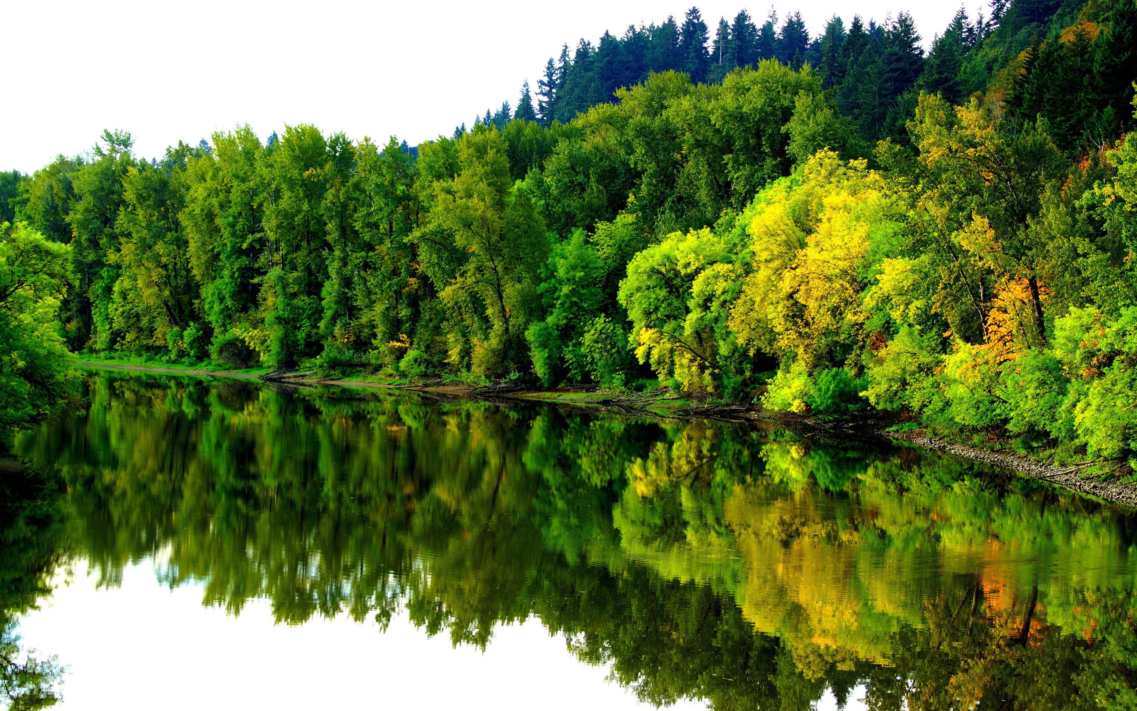 River In Autumn Coast Forest Trees Reflection In Water Landscape Ultra HD 4k Wallpaper HD 3840x2400, Wallpaper13.com