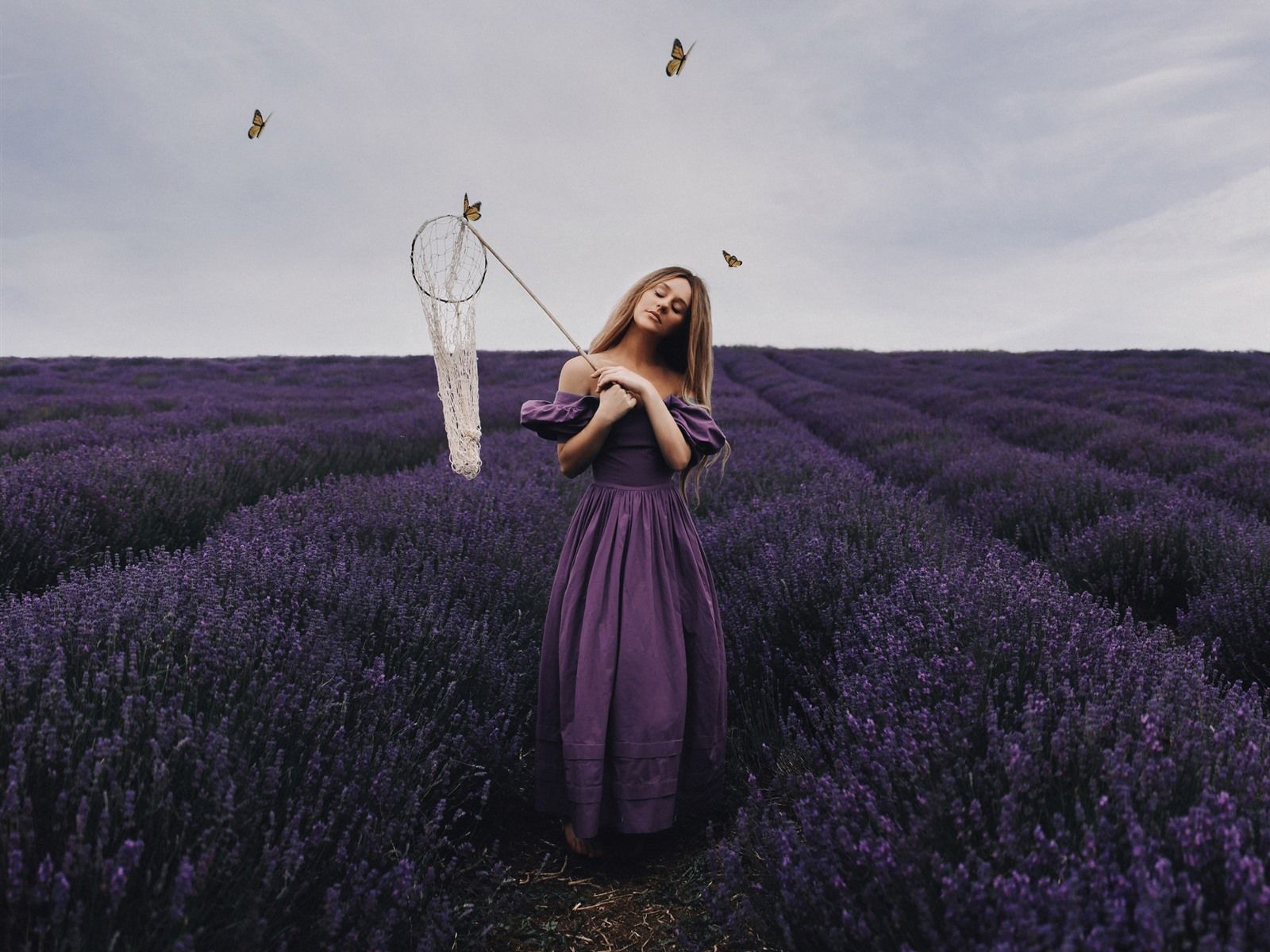Wallpaper Purple skirt girl, lavender flowers field, butterfly