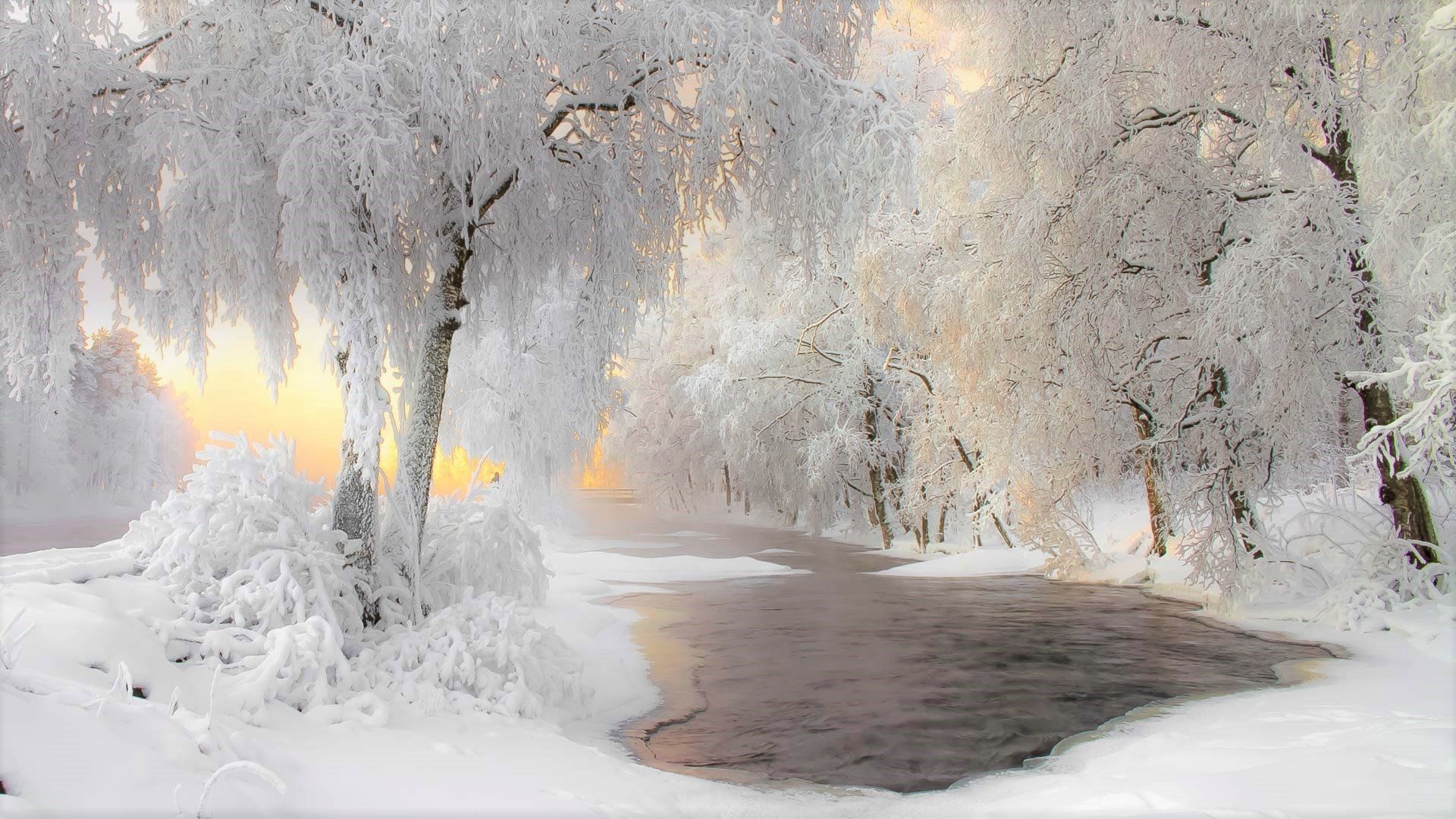 Winter River and Trees at Sunset HD Wallpaper. Background Image