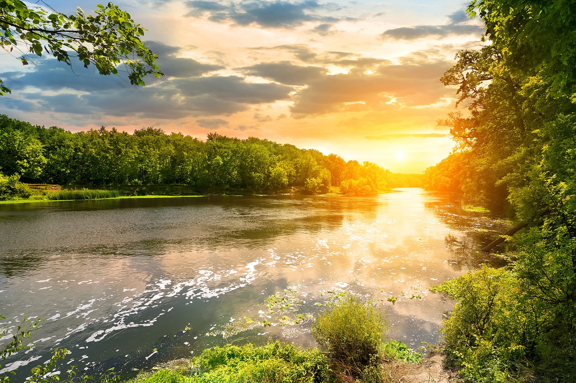 Sunset Over The River in The Forest. HD Free Foto
