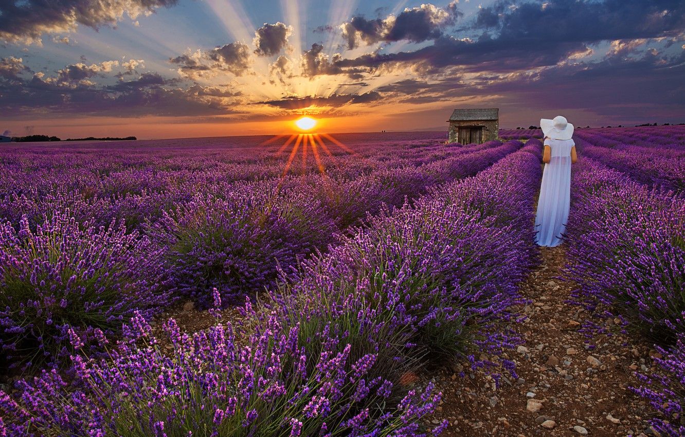 Wallpaper sunset, woman, hat, white dress, lavender, lavender