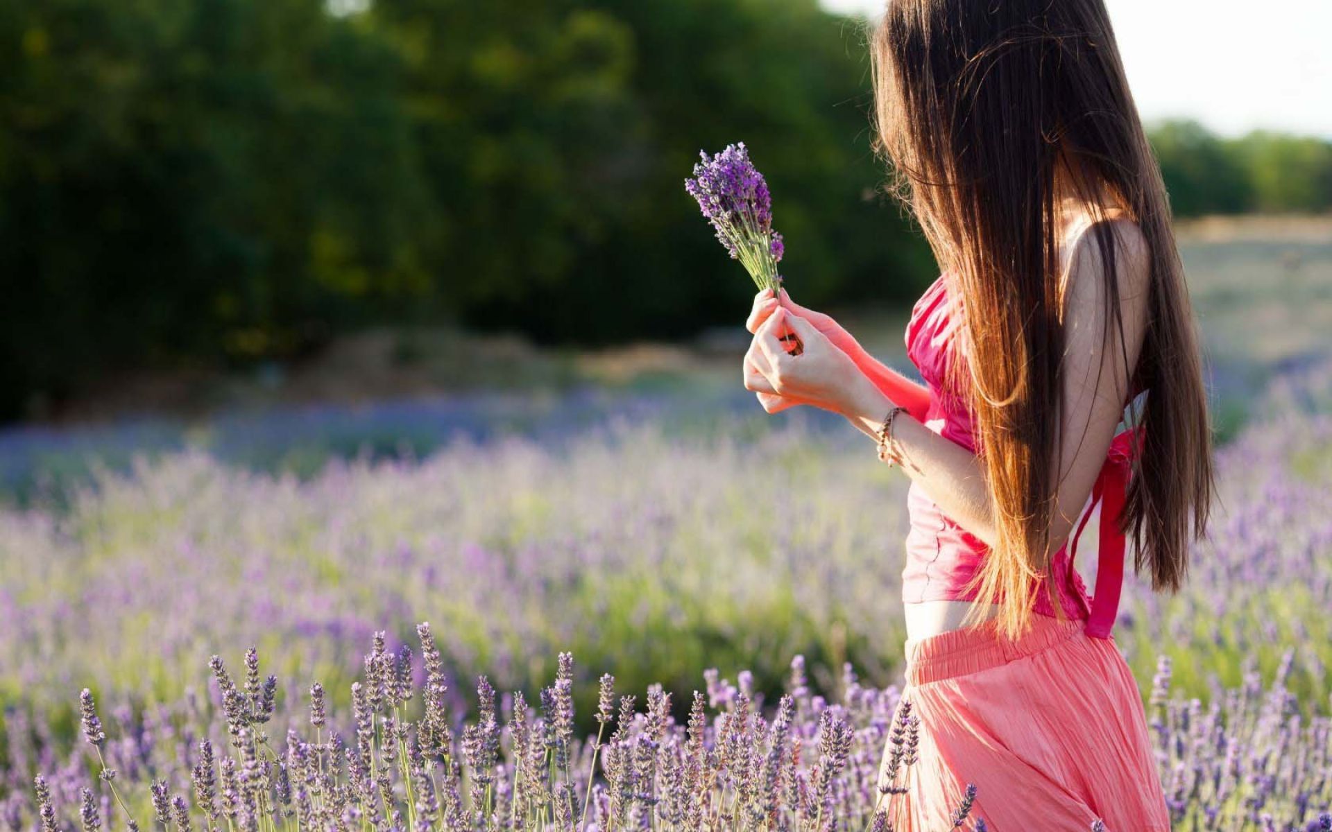 Photo Wallpaper Field, Purple, Leaves, Girl, Trees, Love