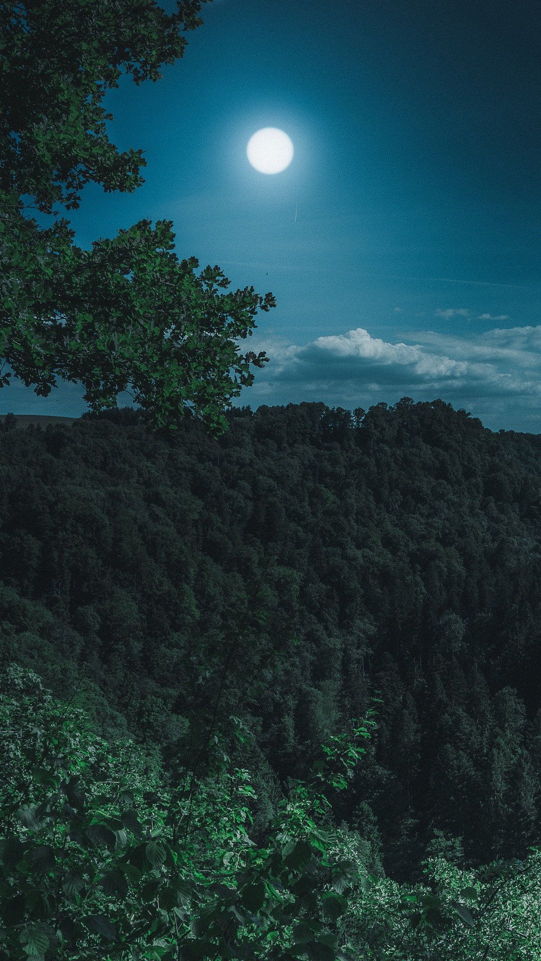 Forest Mountains Moon Wallpaper - [1080x1920]