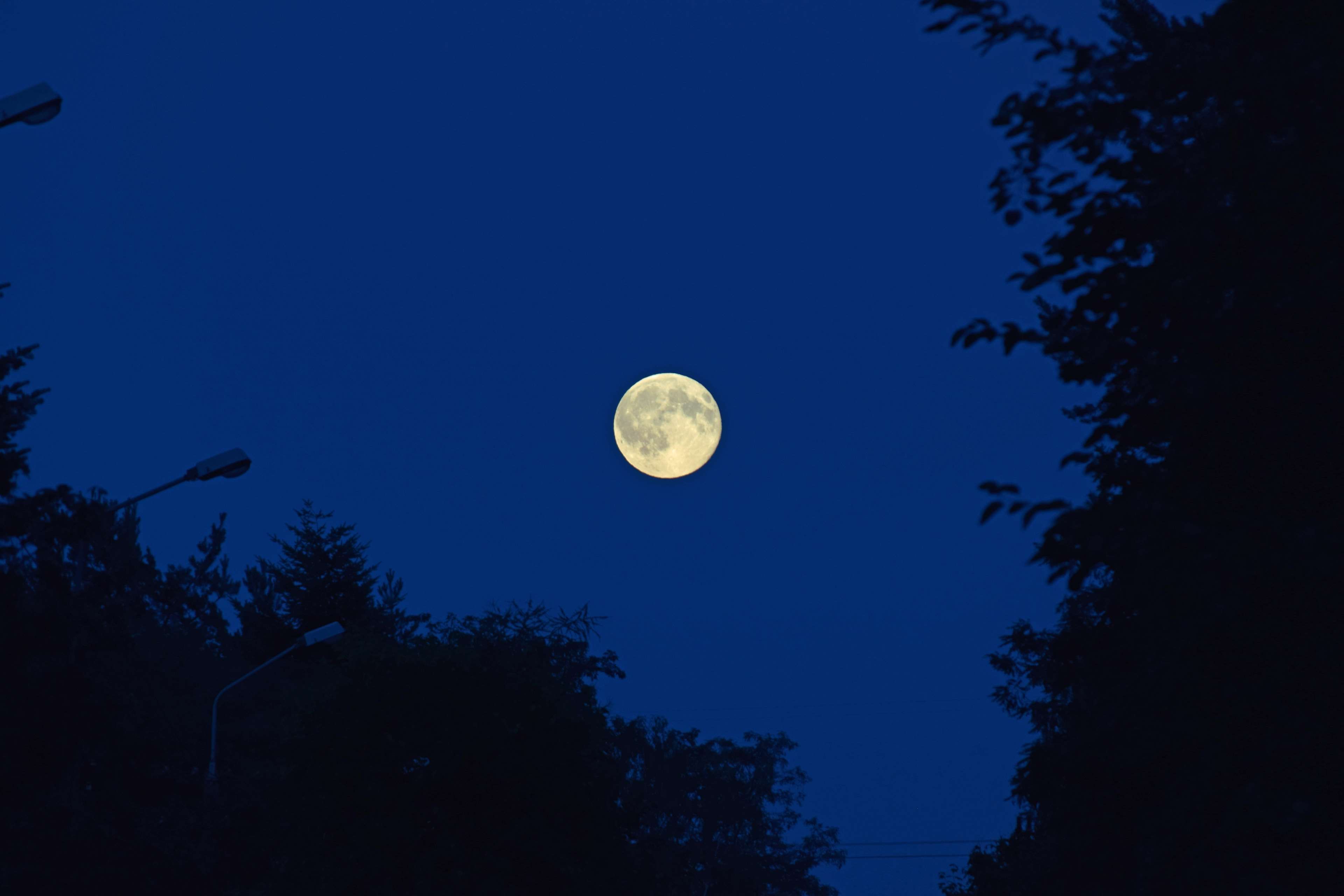 blue moon wallpaper and background