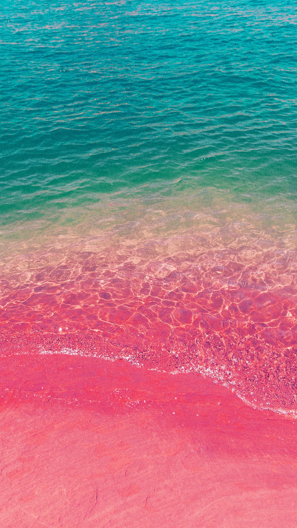 Sea Water Beach Summer Nature Pink Wallpaper
