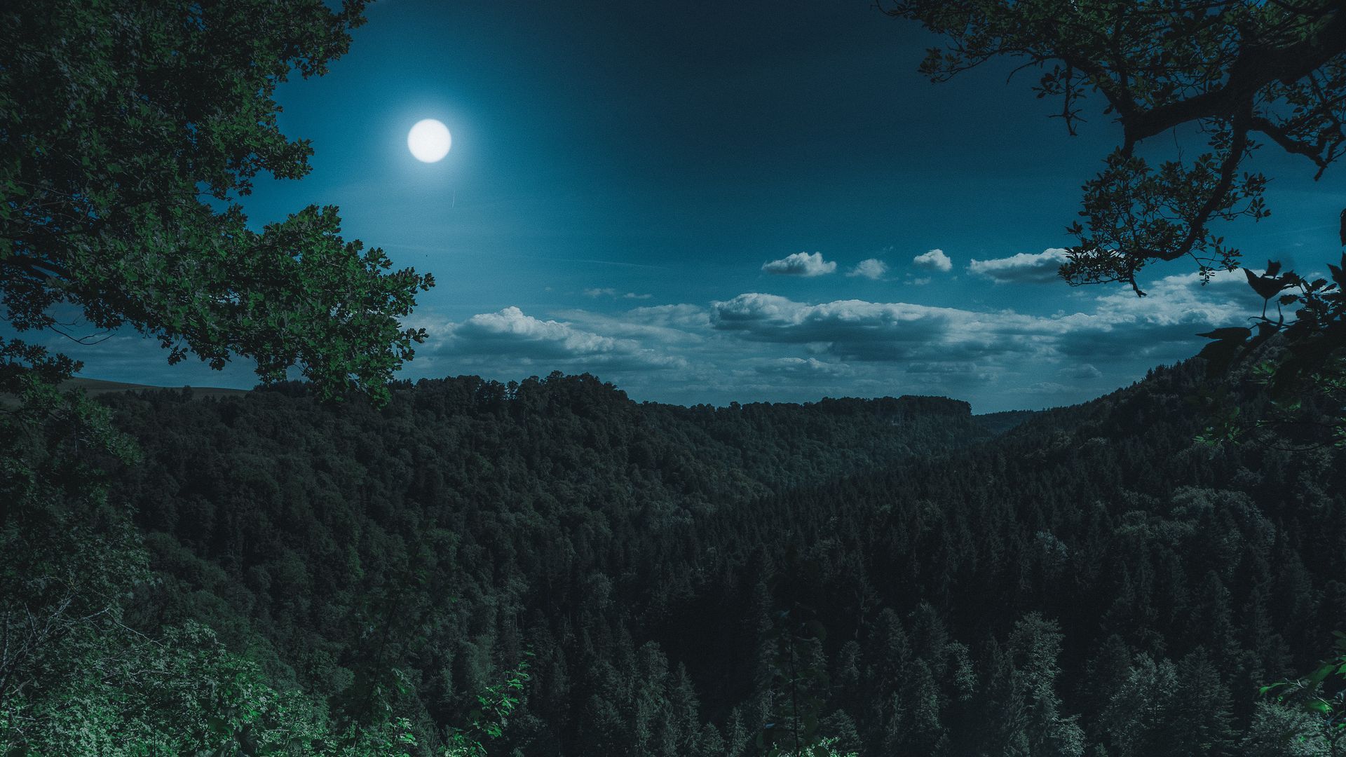 Download wallpaper 1920x1080 forest, mountains, moon, clouds full