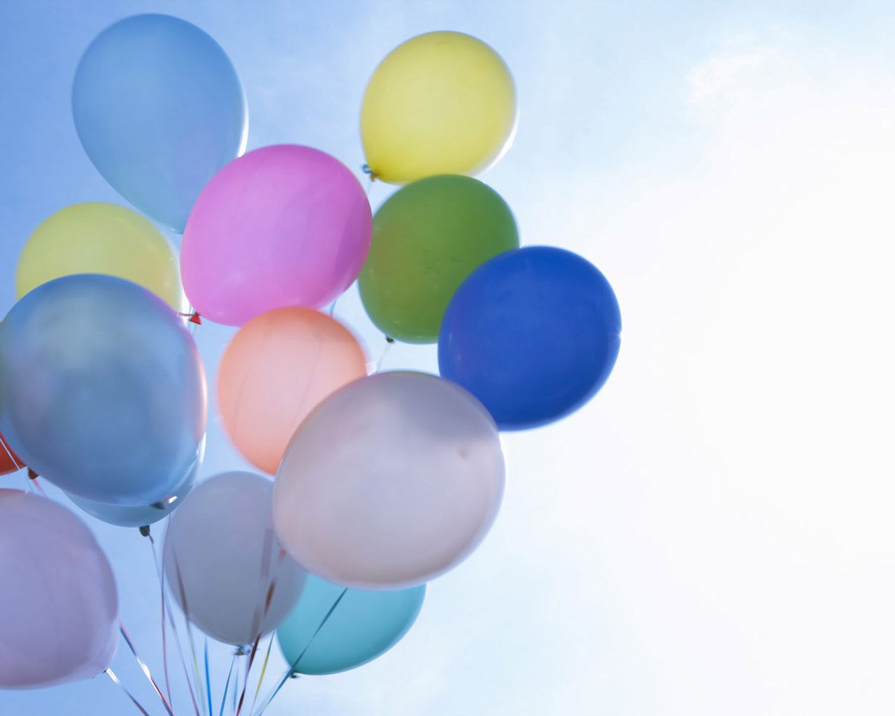 Summer Feeling: summer food, summer scene, summer still life