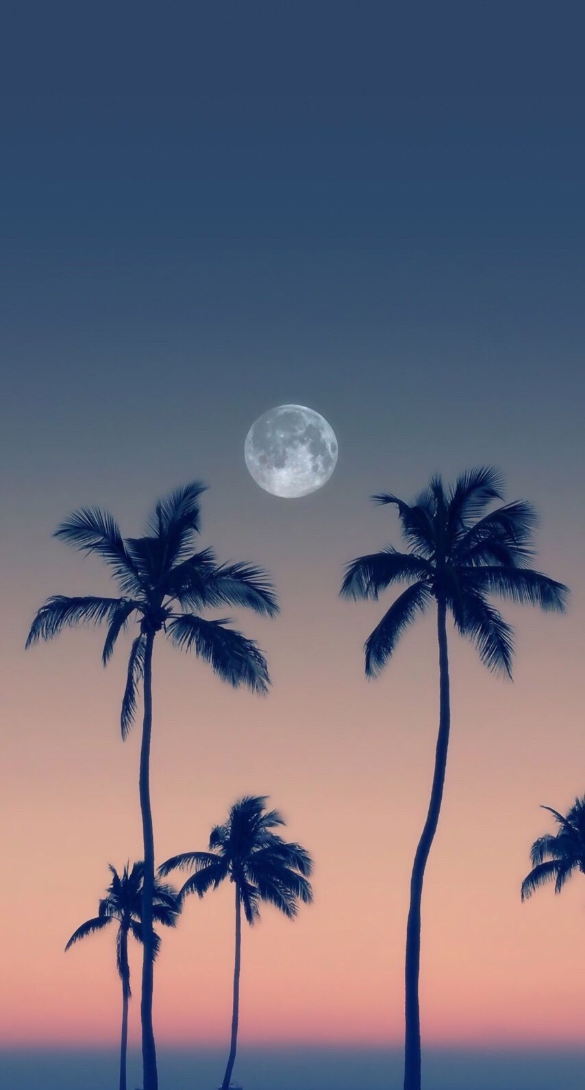 Palm trees moon wallpaper background. Beautiful moon, Wallpaper background, Nature picture