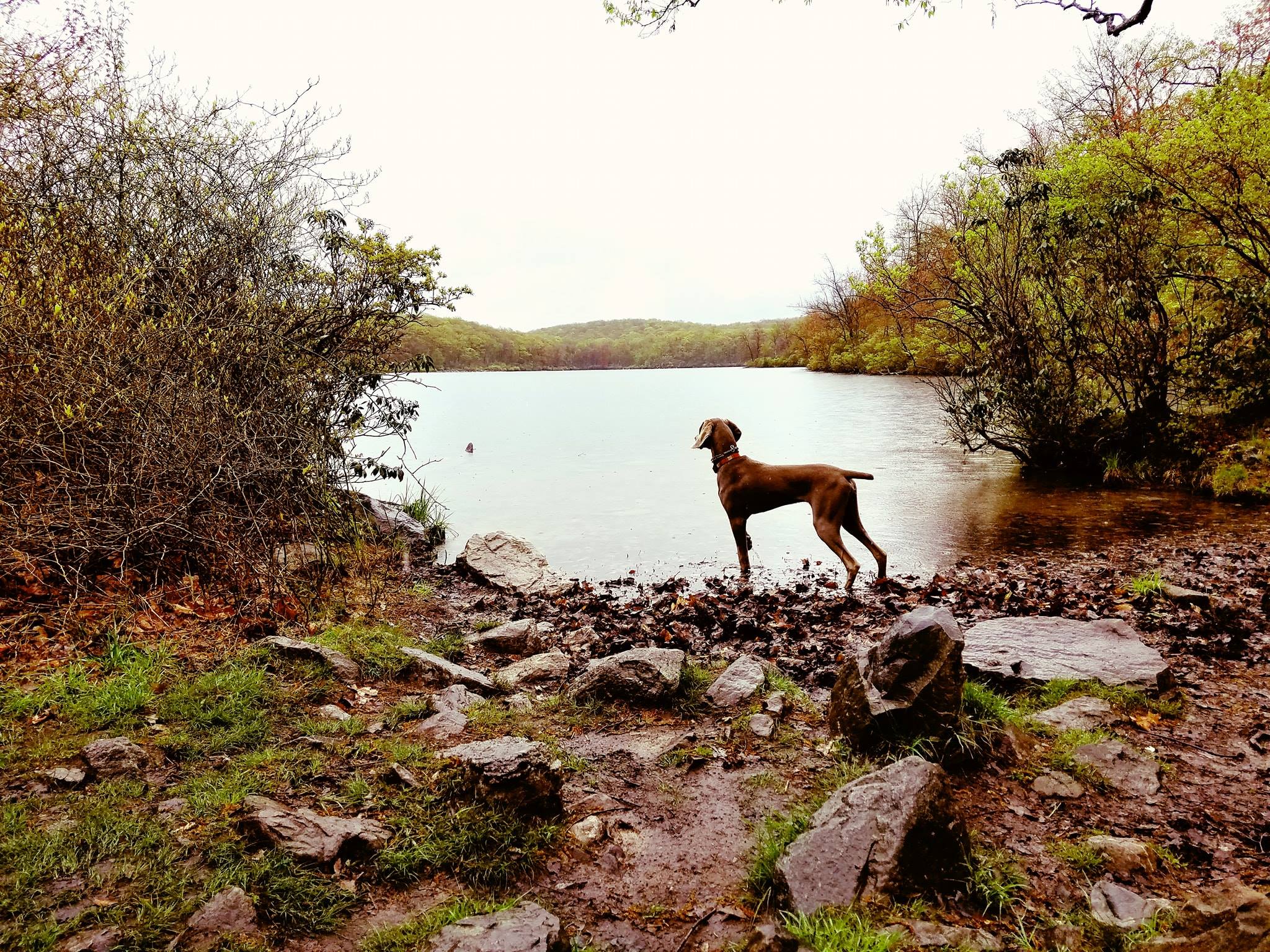 Sunfish Pond, Delaware Water Gap PA