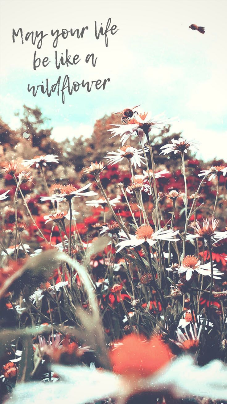 Floral iPhone Wallpaper To Enjoy That Summer Feeling. Floral