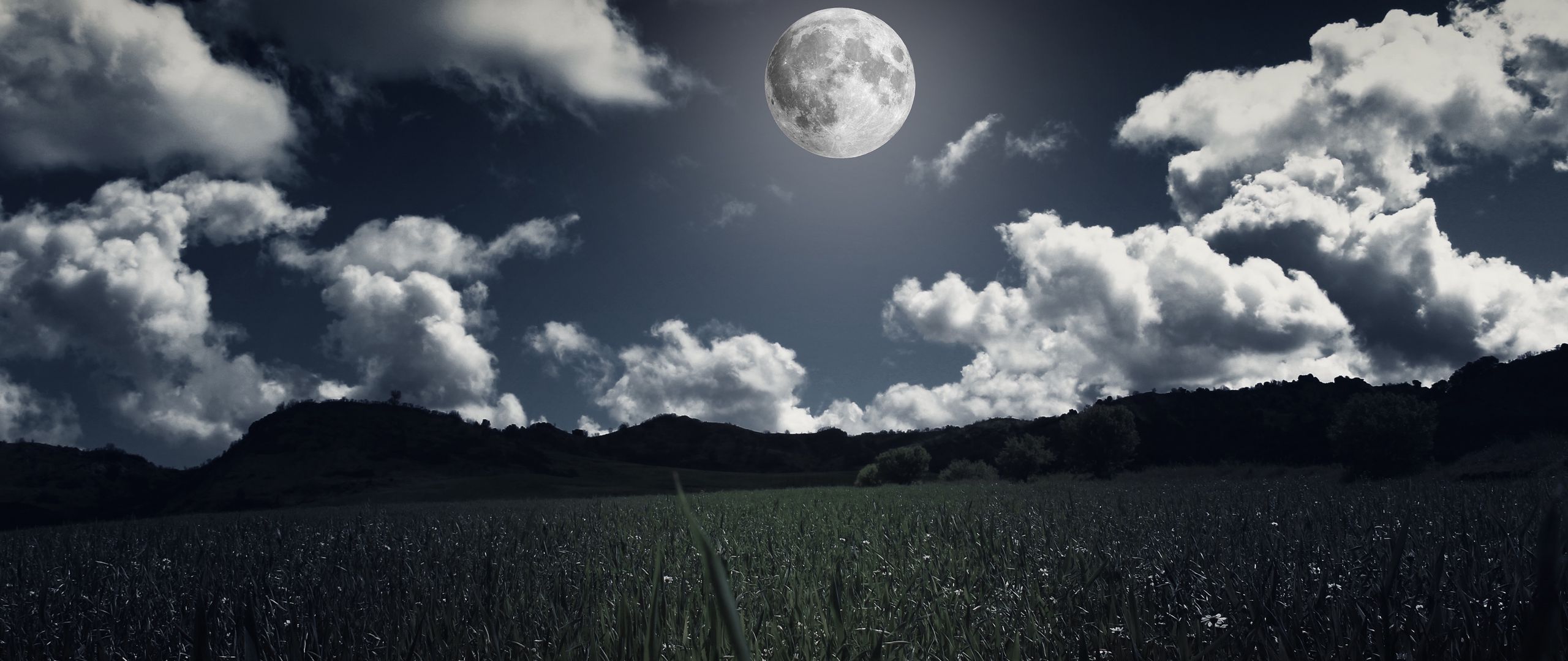 Download wallpaper 2560x1080 moon, clouds, grass, field, full moon