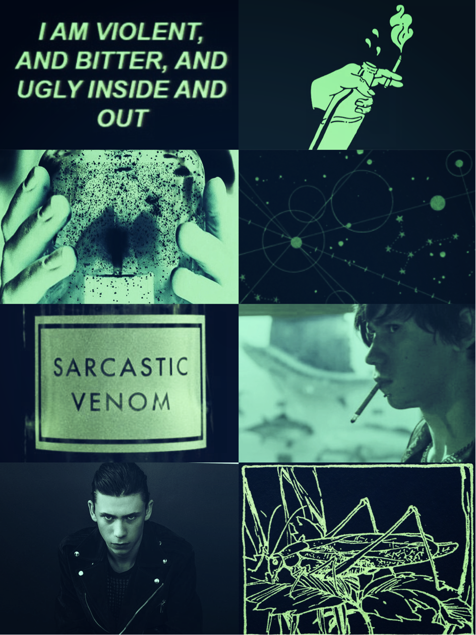 Not Every Fucking Plant Is Poison Ivy Stanley