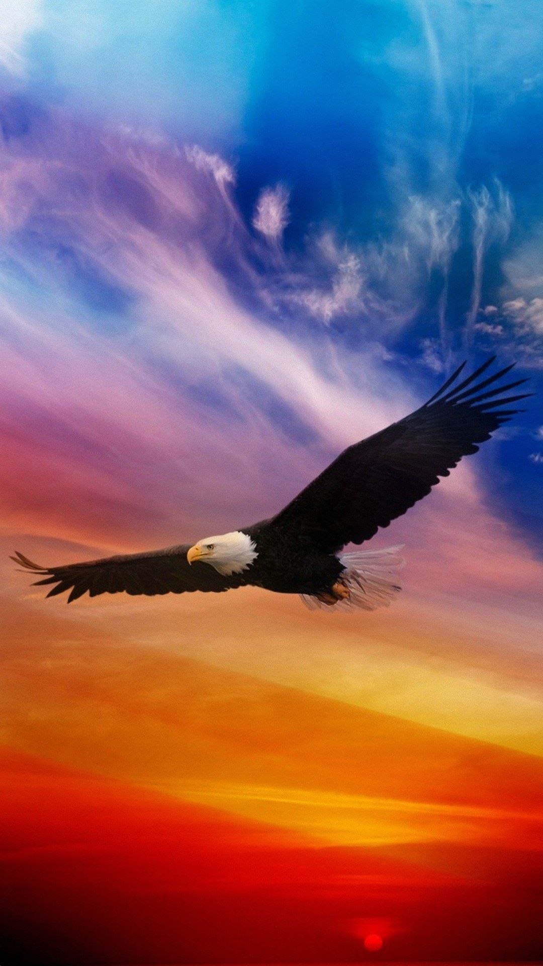 Full Hd Eagle Wallpapers Iphone