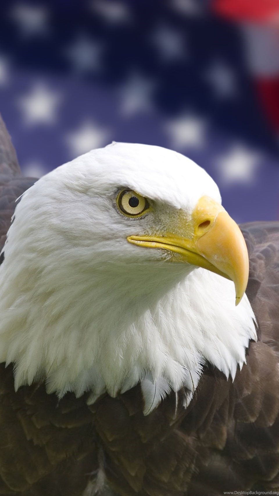 American Eagle Smartphone Wallpapers