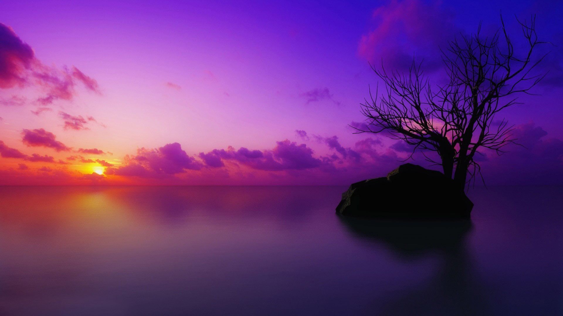 Purple [1920x1080]. Beautiful photo of nature, HD landscape