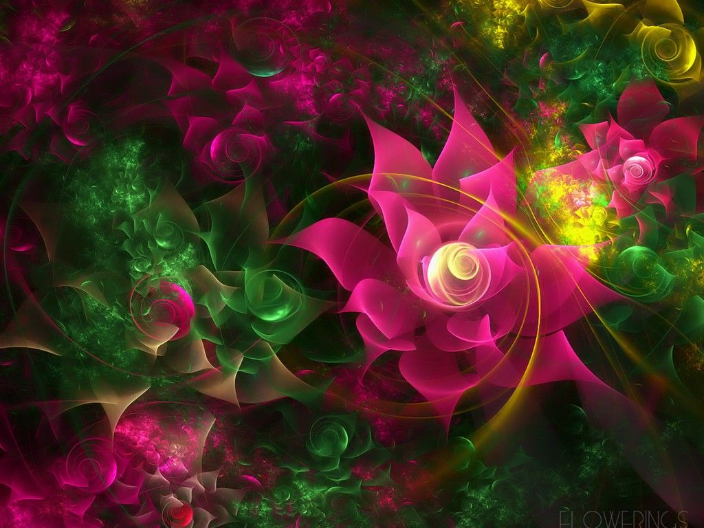 3D Flowers Wallpaper Photo