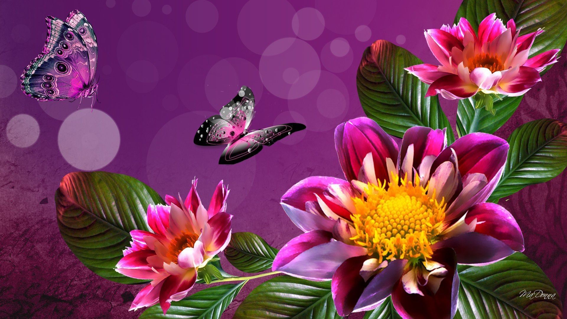 3D Flower Wallpaper FREE Picture