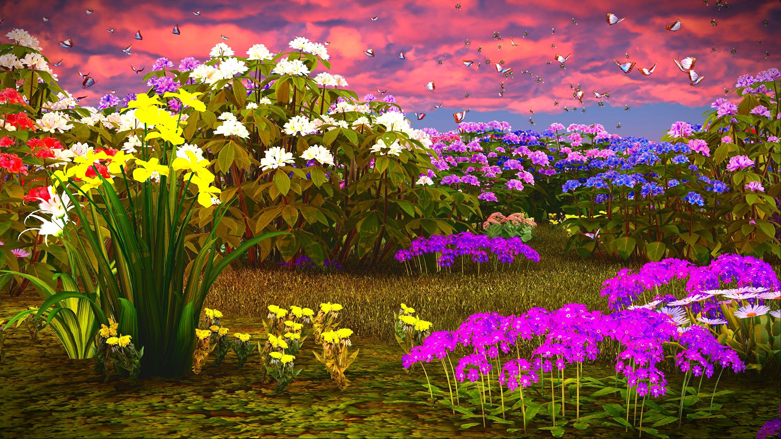 Wallpaper butterfly 3D Graphics Phlox Flowers Daffodils 2560x1440
