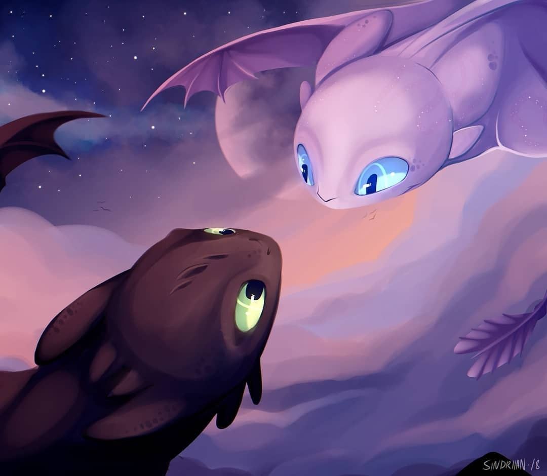 Night Fury and Light Fury. How train your dragon, How to train