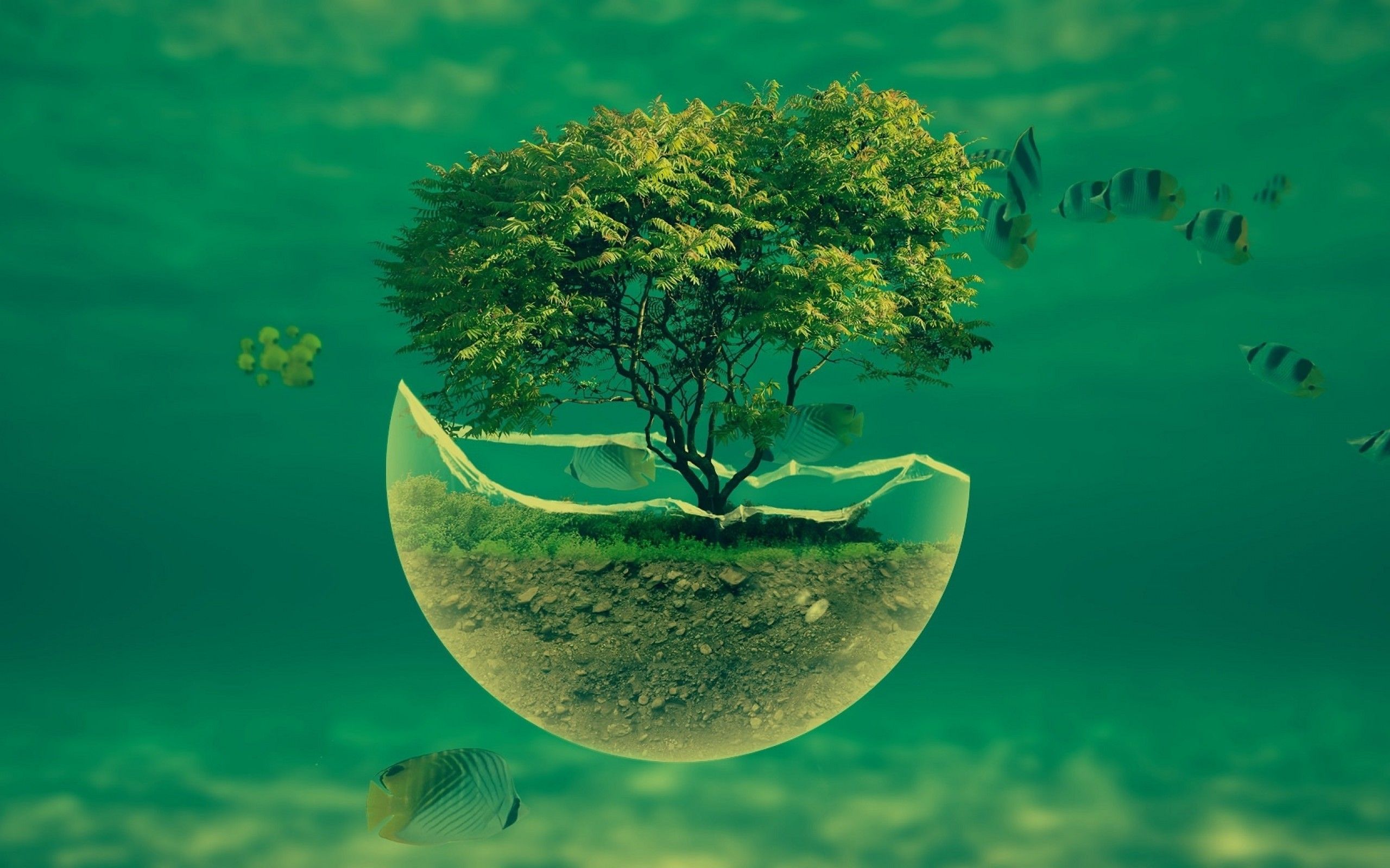Download 2560x1600 Earth, Photo Manipulation, Ecosystem, Fishes