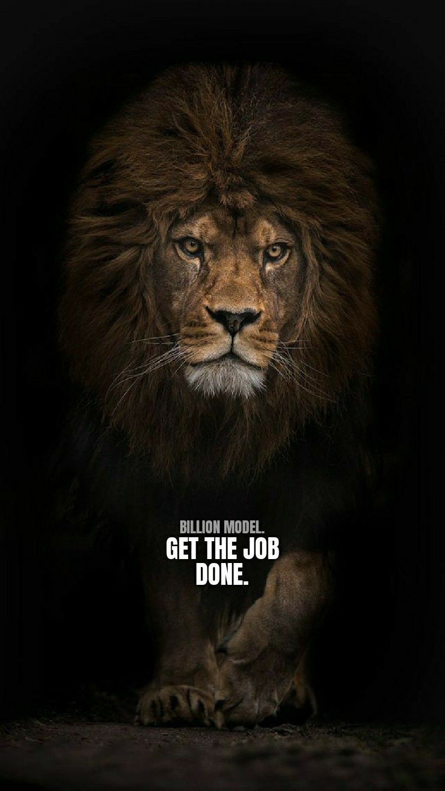 Get the job done. #lion #quotes #motivation #life. Inspirational