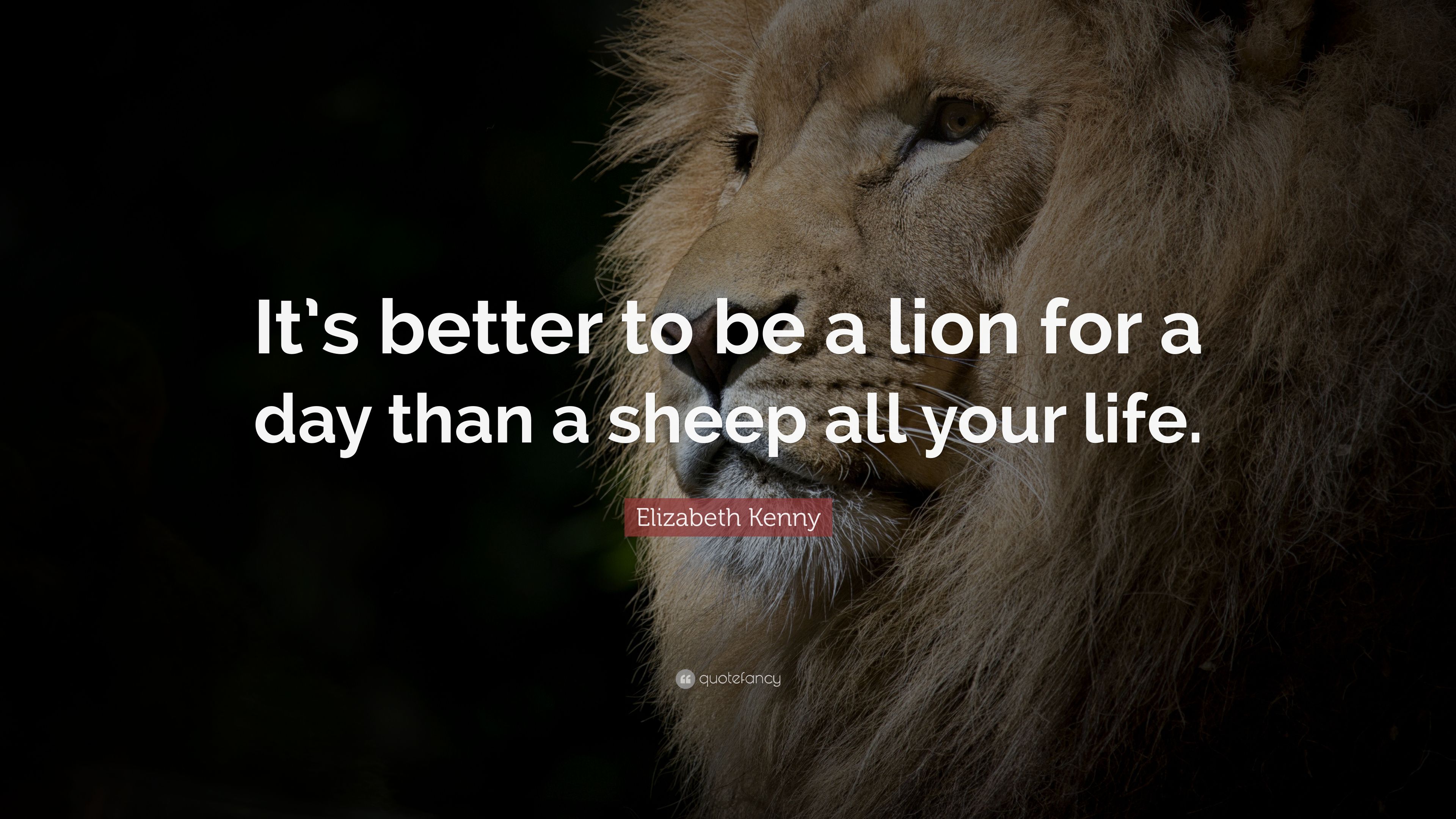 Elizabeth Kenny Quote: “It's better to be a lion for a day than a