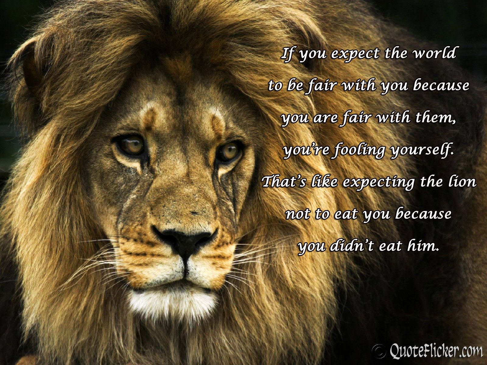 Lion Pictures With Quotes
