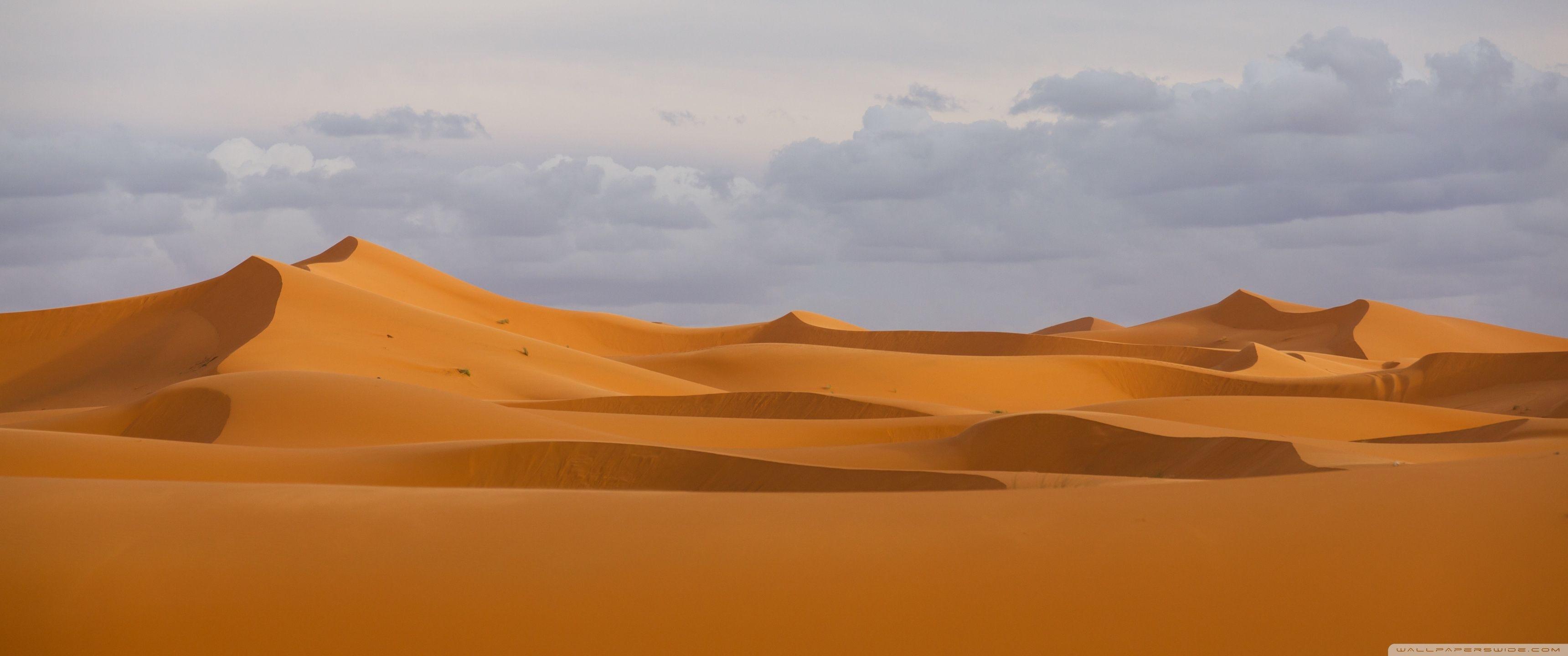 Desert Wallpaper Free Desert Background