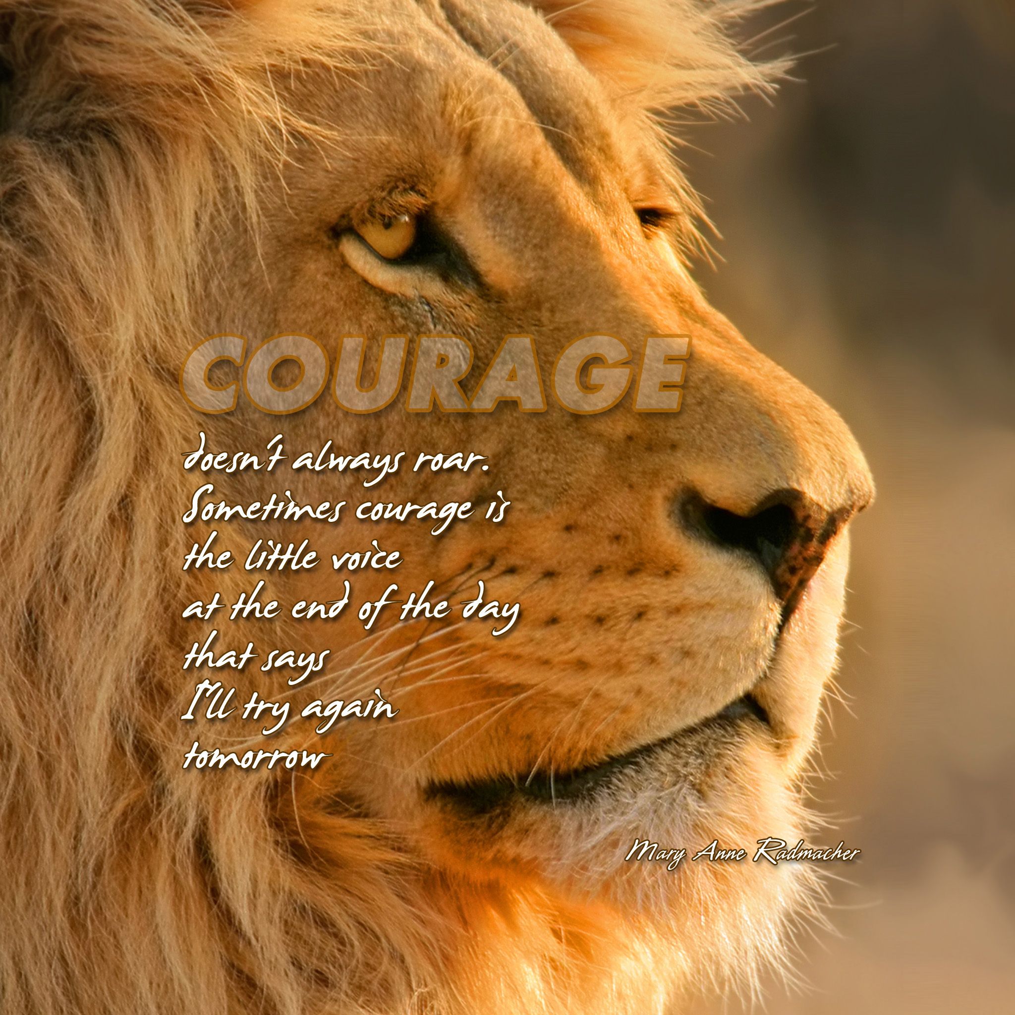 Lion Inspirational Quotes. QuotesGram