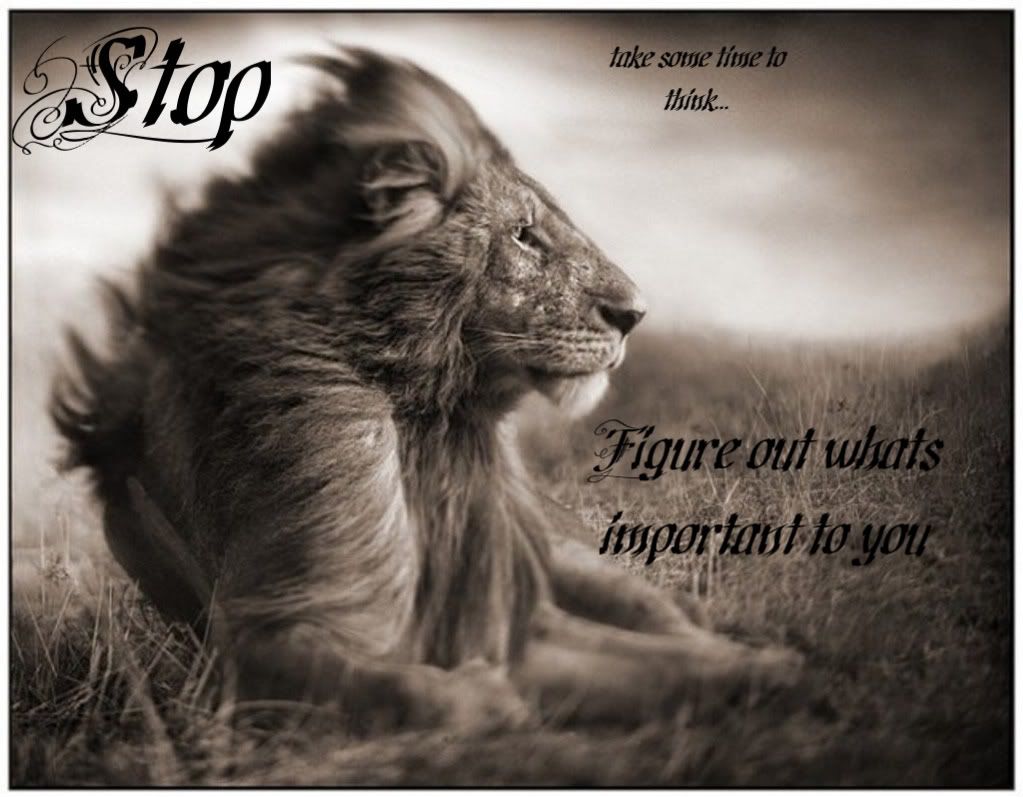 Quotes About Love And Lions. QuotesGram