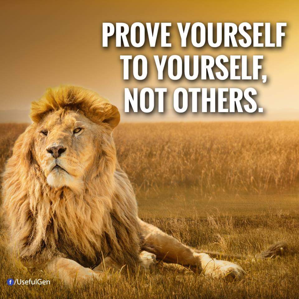 Good Wallpaper Attitude Lion Picture Image With Quotes