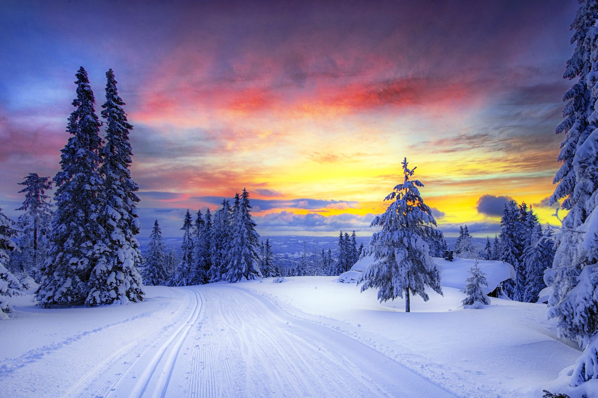 Wallpaper of Earth, Landscape, Road, Snow, Sunset, Tree, Winter