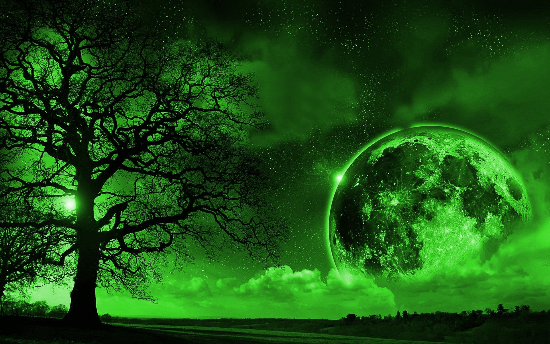 Green Fantasy World HD Wallpaper. Background Imagex1200