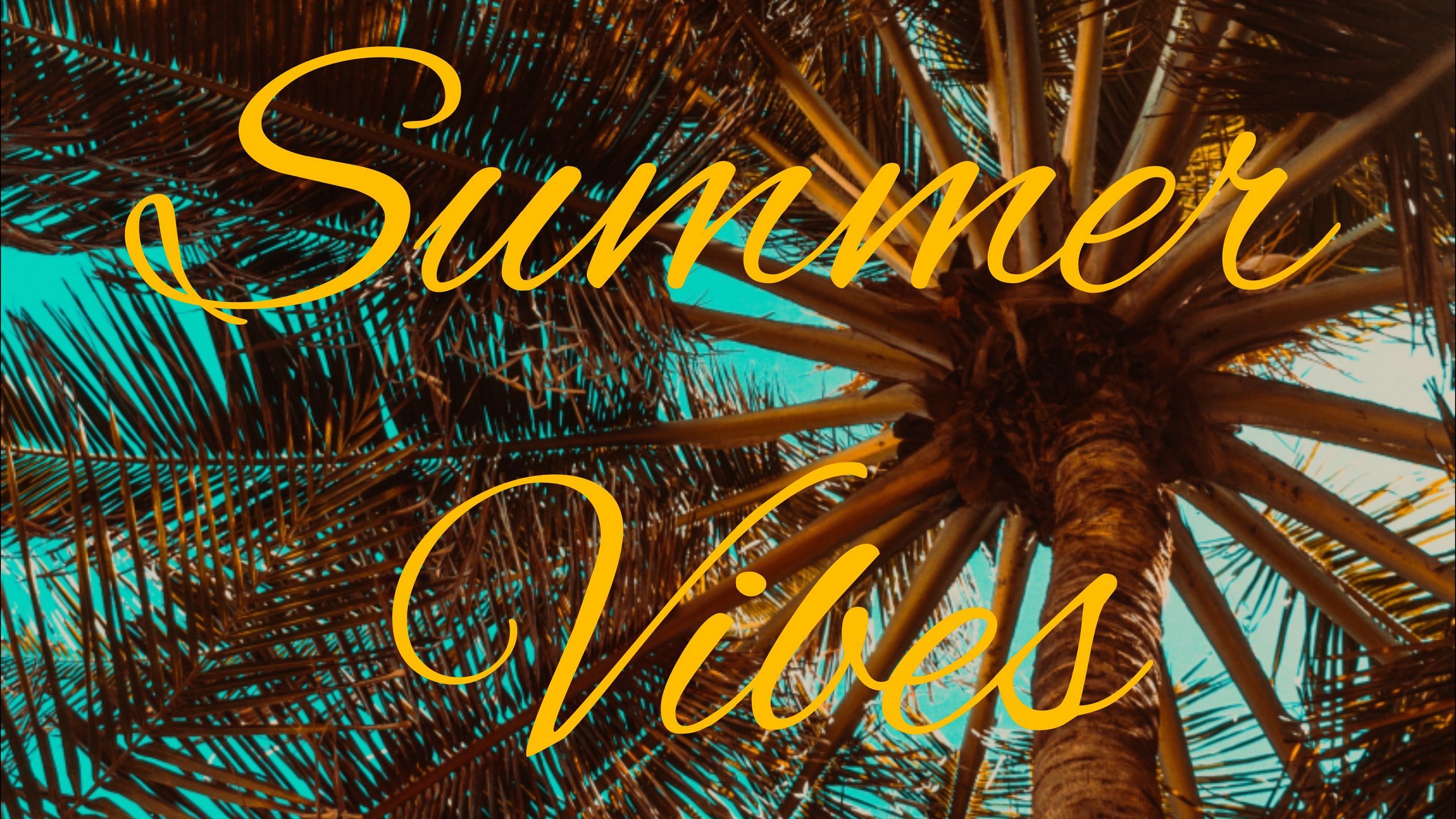 Download wallpapers 2560x1440 summer, vibes, palm, mood widescreen