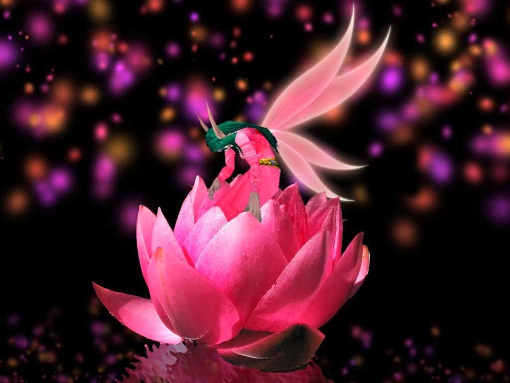 Flower Fantasy Wallpapers - Wallpaper Cave