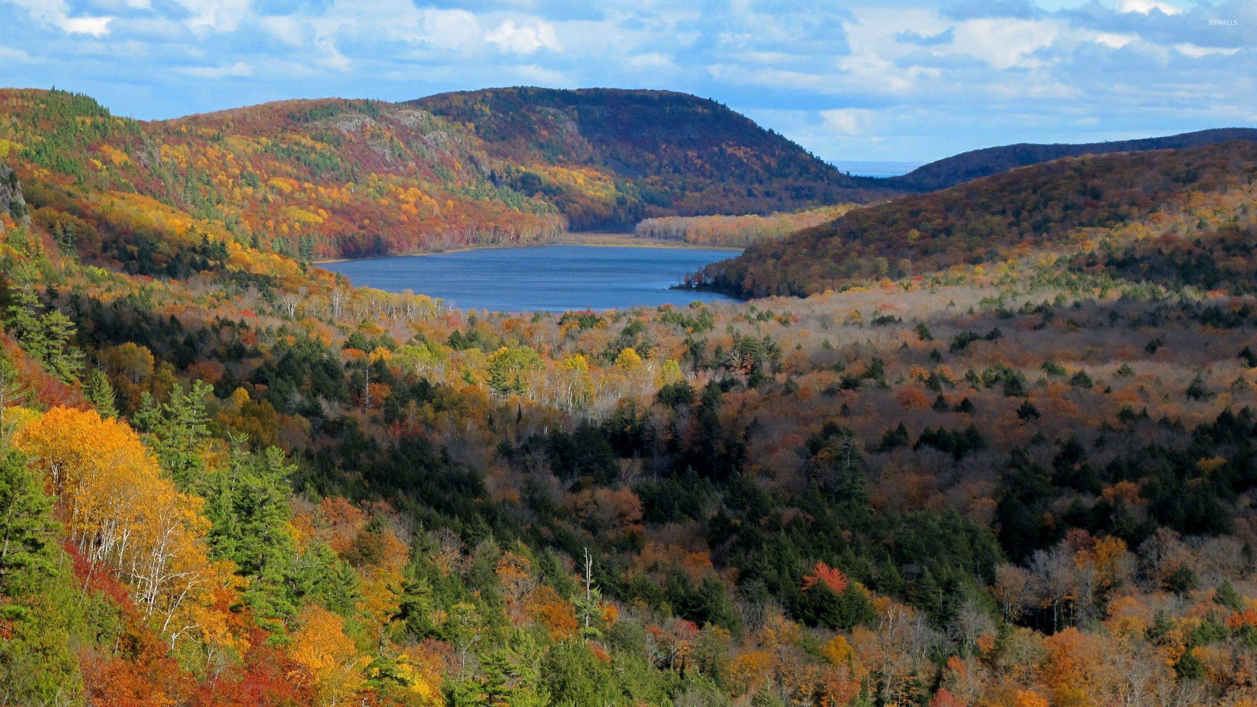 Upper Peninsula Background. Supper