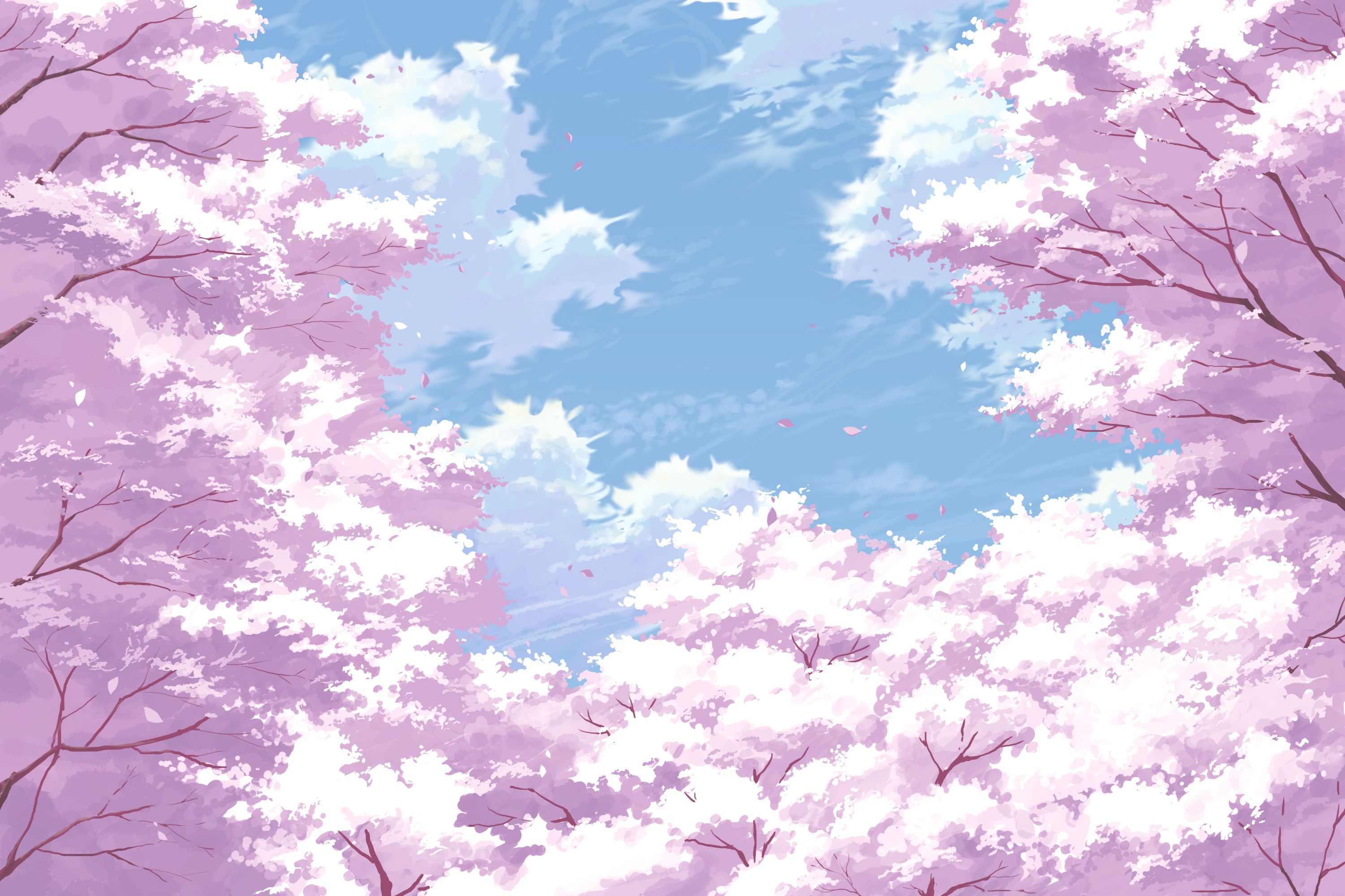 Japan Blossom Trees Wallpaperx2000