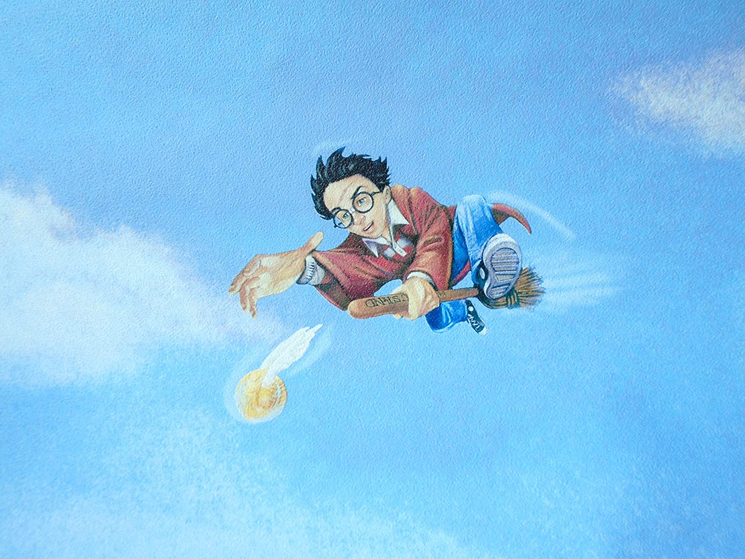 Gryffindor Quidditch Seeker Harry Potter Official Wallpaper