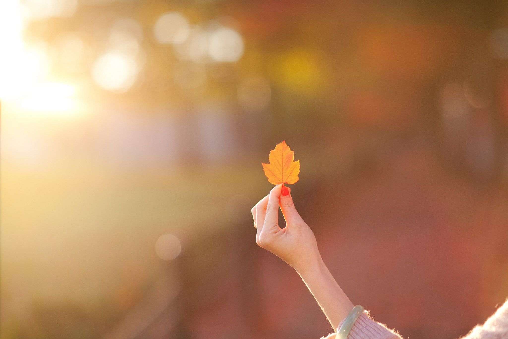mood, Girl, Hand, Leaf, Leaf, Blur, Autumn, Bokeh Wallpaper HD